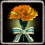 Amber Carnation