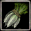 Daikon