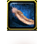 Unknown Feather