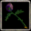 Laboratory oisonous plant stem